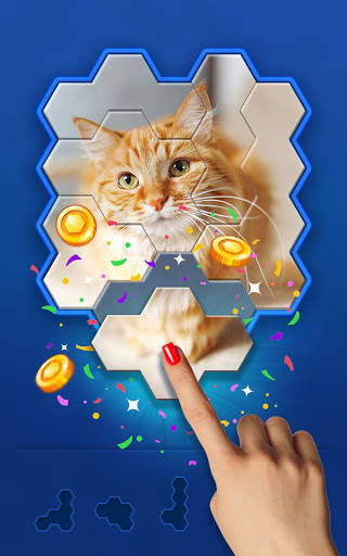 Hexa Jigsaw Challenge screenshot 3