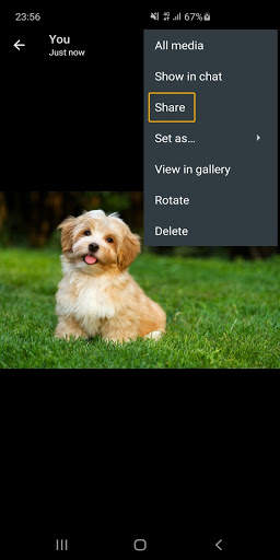Download Me screenshot 4