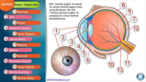 Alat Optik Mata Manusia screenshot 6