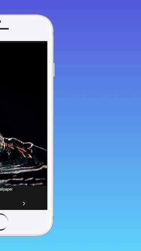 Pixel 4D 2021 screenshot 8