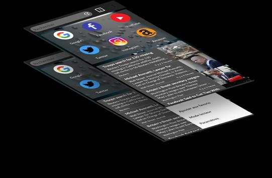 Raven Browser PRO screenshot 2