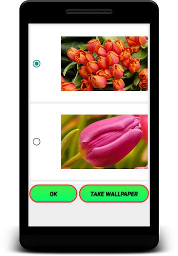 Tulip Live Wallpapers - Screen Lock, Sensor, Auto screenshot 11
