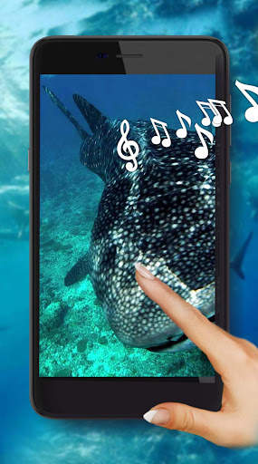 Sharks Live Wallpaper screenshot 1
