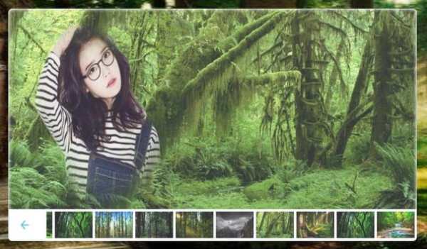 Forest Photo frame screenshot 7