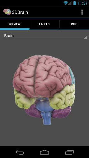 3D Brain screenshot 2