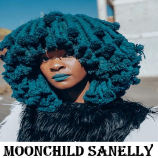 Moonchild Sanelly Song 1.0