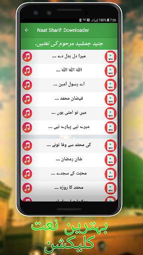 Naat screenshot 6