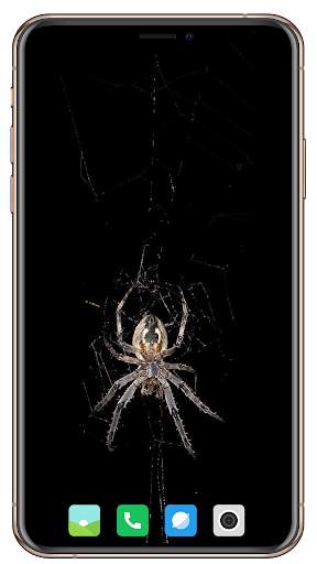 Spider Wallpaper screenshot 13