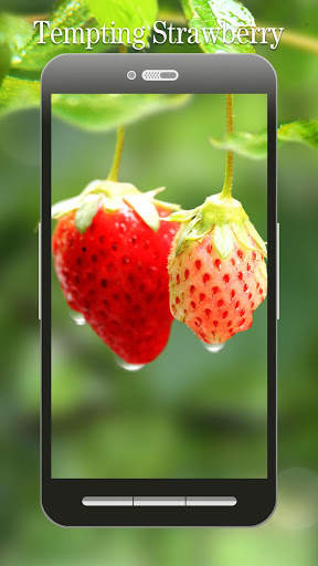Red Strawberry Live Wallpaper screenshot 1