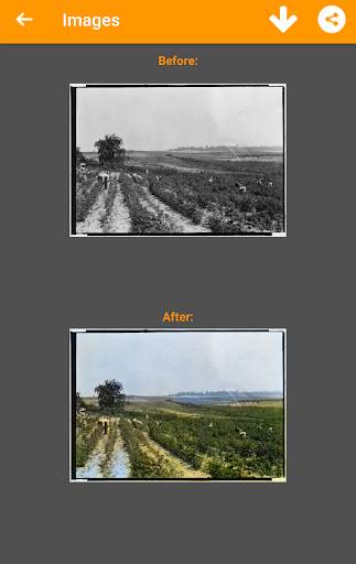 Black and White Photo Colorizer - Chromatix screenshot 3