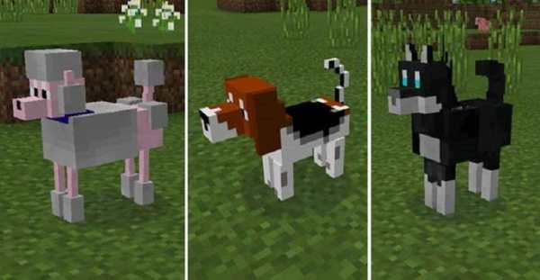 My Dogs Mod for MCPE screenshot 1