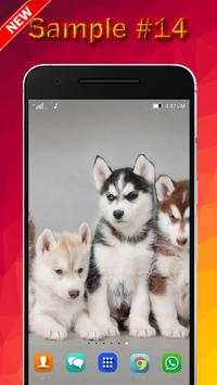 Dog Wallpaper screenshot 14