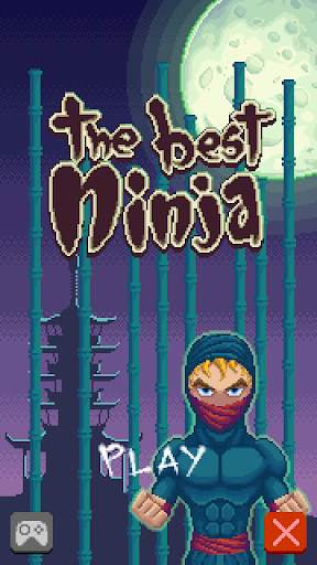 The Best Ninja screenshot 1