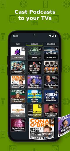 Cast to TV  Chromecast Roku TV screenshot 6