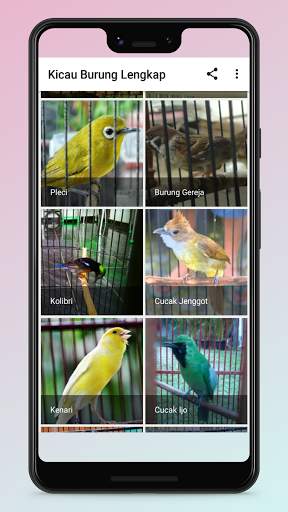 Kicau Burung Terlengkap screenshot 3