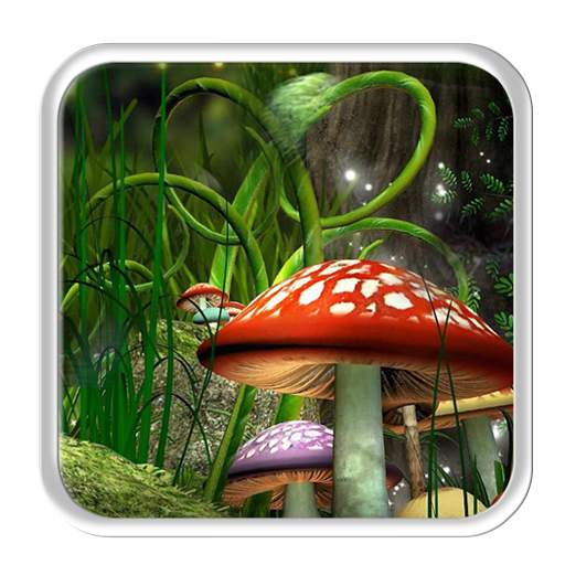 Mushroom Box Live wallpaper 1.1.1