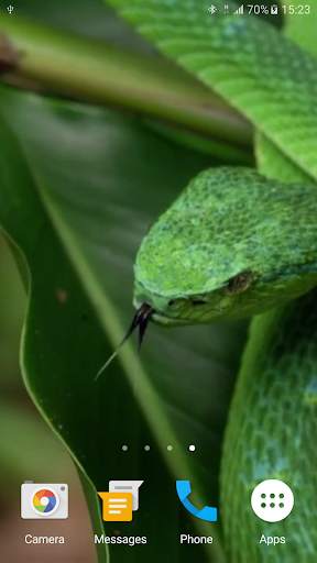 Snake Live Wallpaper screenshot 5