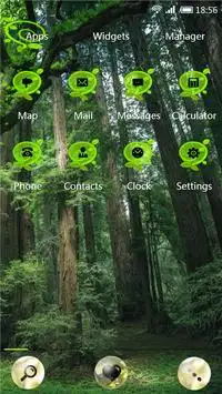 Toile 91 Launcher Pro Theme screenshot 3