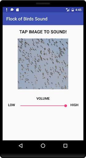 Flock of Birds Sound screenshot 1
