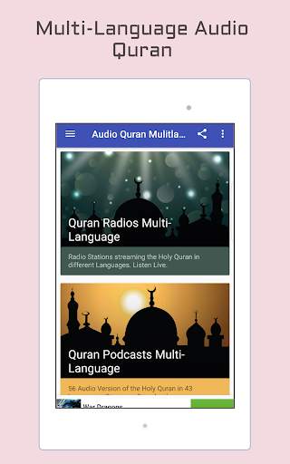 Audio Quran Multi-Language screenshot 6