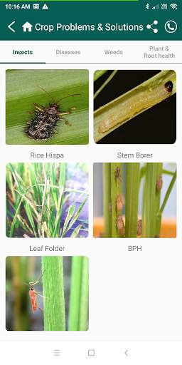 Krishi Kalyan APP screenshot 7