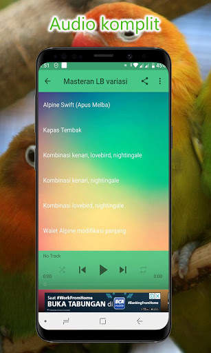 Masteran Lovebird Lengkap Offline screenshot 3