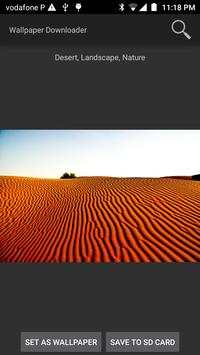Wallpaper Downloader HD screenshot 2