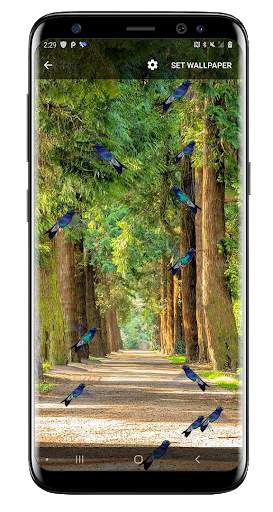 Birds Flying Live Wallpaper screenshot 7