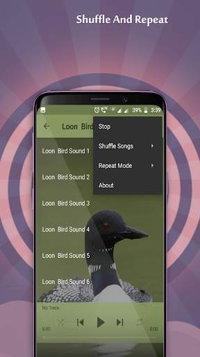 Loon Sounds screenshot 4