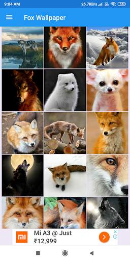 Fox Wallpaper: HD images, Free Pics download screenshot 2