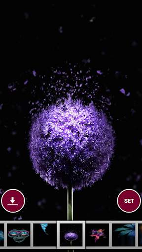 Amoled wallpaper screenshot 1