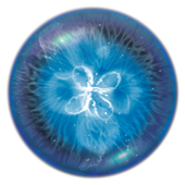 Osmos Demo icon