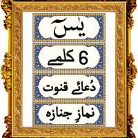 6 kalmay icon