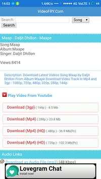 VideoFry screenshot 4