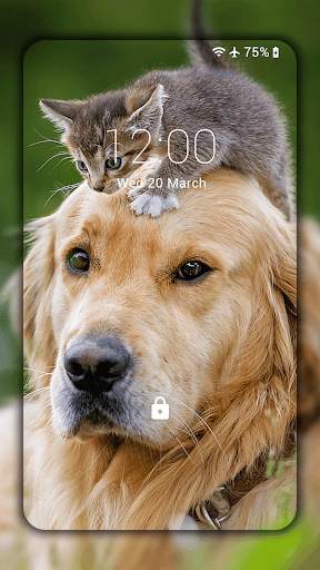 Cats and Dogs Live Wallpaper (Backgrounds) screenshot 2