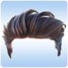 Man Hair & Beard Style 2.1