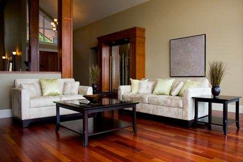 Living Room Decorating Ideas screenshot 13