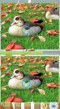 Find Difference Game Duck screenshot 2