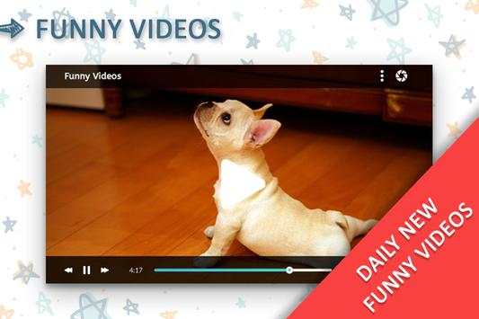 Funny Videos screenshot 3