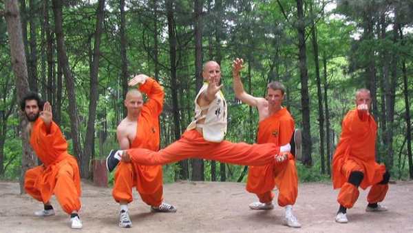 Learn Kung Fu screenshot 6