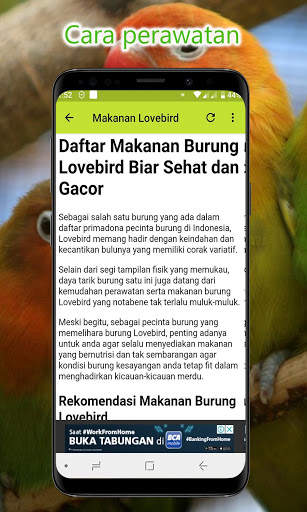 Masteran Lovebird Lengkap Offline screenshot 7