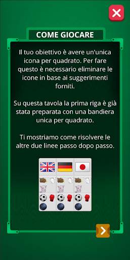 Einsteins Riddle Puzzle Logica screenshot 2