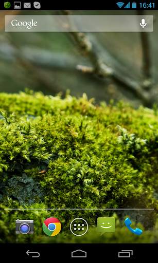 Nature Wallpaper screenshot 6