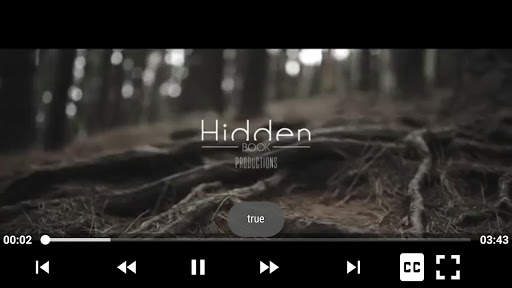 AV Player screenshot 4