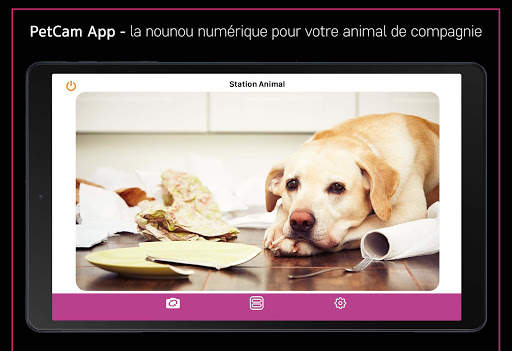 PetCam - Caméra pour animal screenshot 2