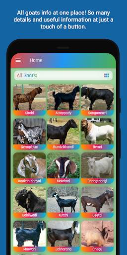 Bakri Palan - Goats Info скриншот 1