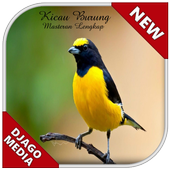 Ringtones Birds Master icon