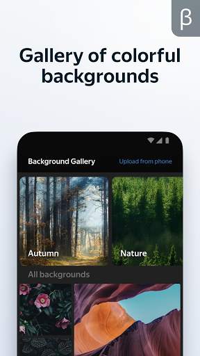 Yandex Browser (beta) 4 تصوير الشاشة
