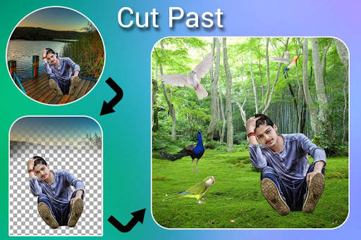 Bird Photo Editor : Cut Paste Editor screenshot 1