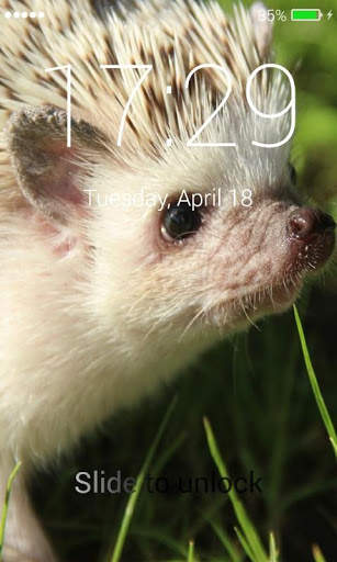 Hedgehog Lock Screen screenshot 3
